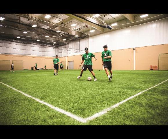 Turf room with batting cages